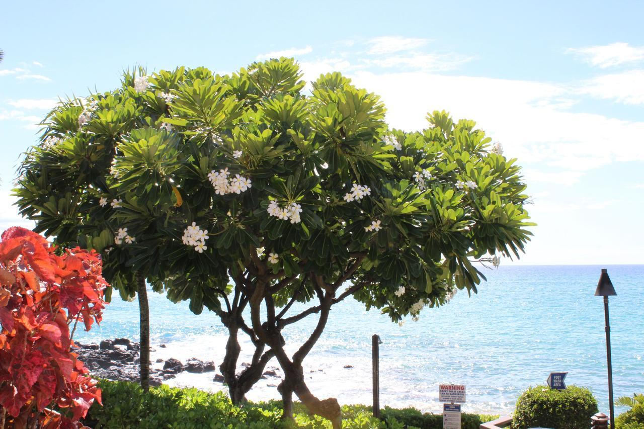 Kuleana Resort 618 Лахайна Экстерьер фото